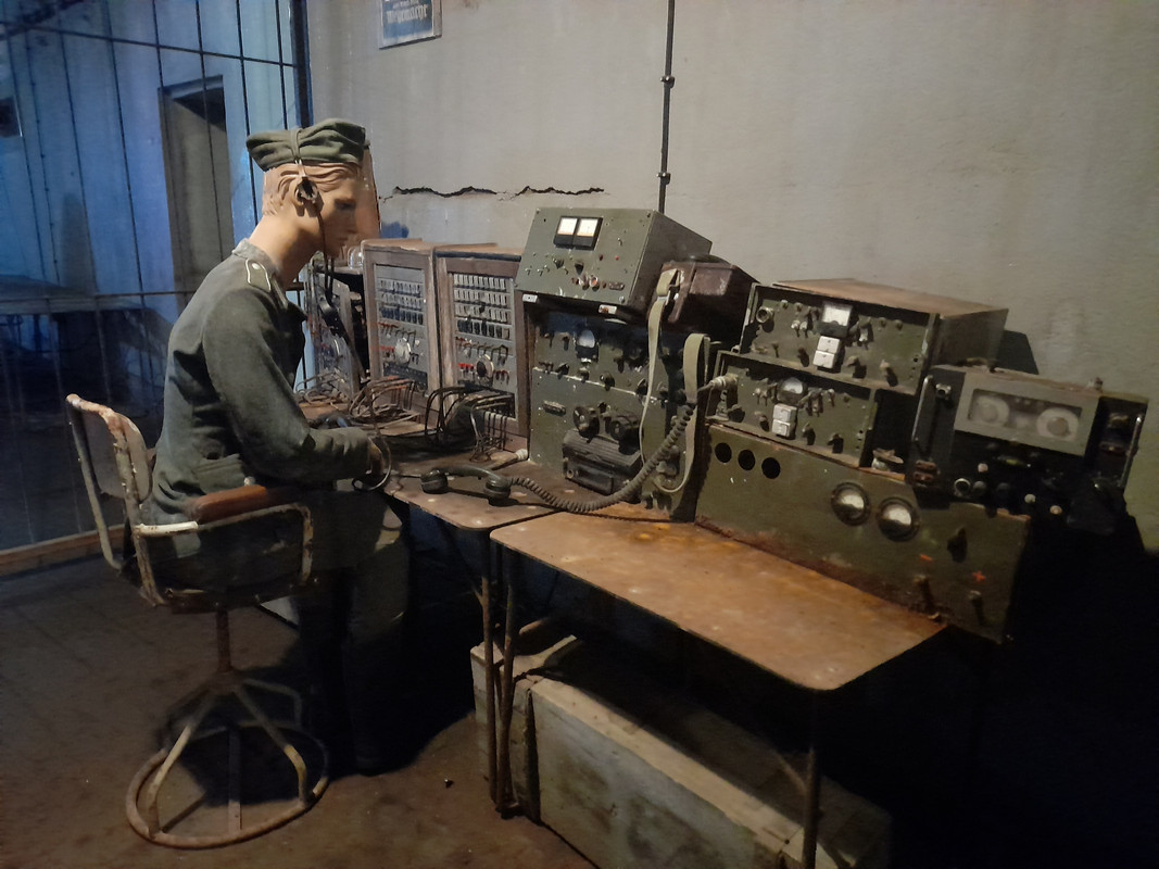 12.08 - 20210605_110723 (Aldona)