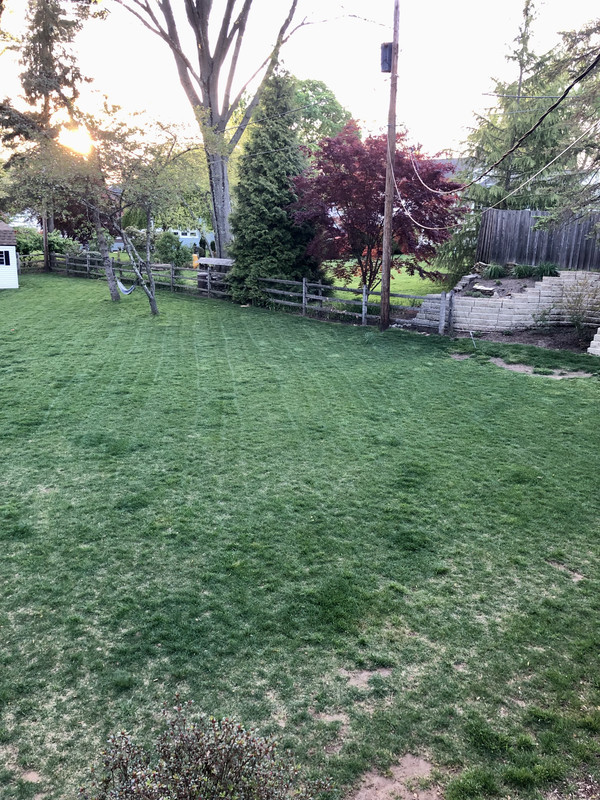 1F41197A-5E73-4C95-B0FE-2002465F447B