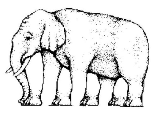 Picture2