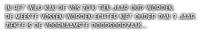 cooltext406374579619600
