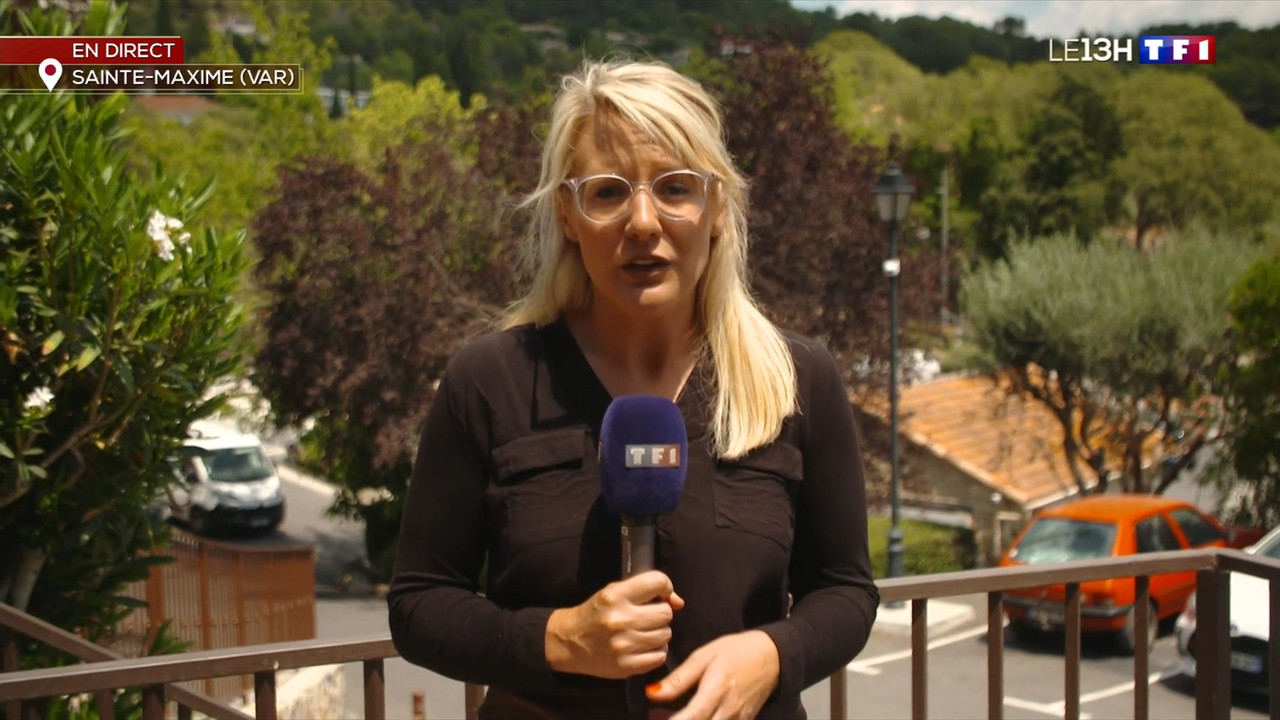 2022-07-13_13_00_TF1_Le-13h.mp4_snapshot_35.35.487