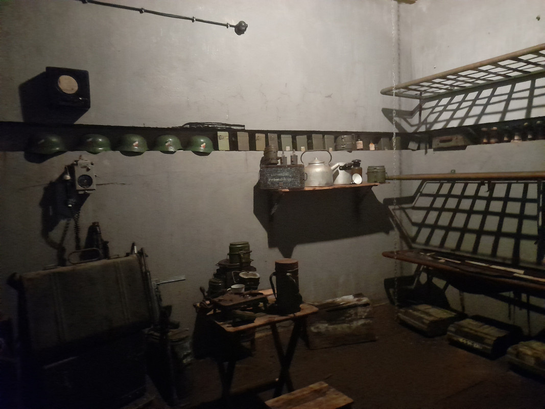 12.07 - 20210605_110230 (Aldona)