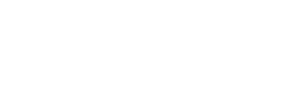 Asset Appeal Logo