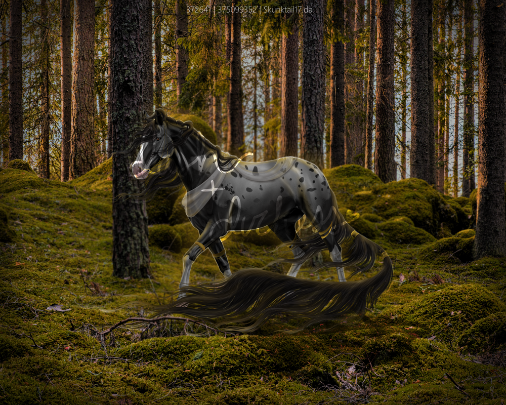 ARFenrir-Mockup003.png