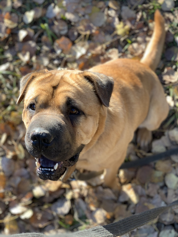 41B8C05F-13C4-4CD6-8C7D-23D0804B94F1