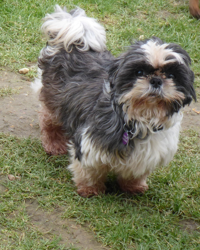 [Image: P1020041.jpg]