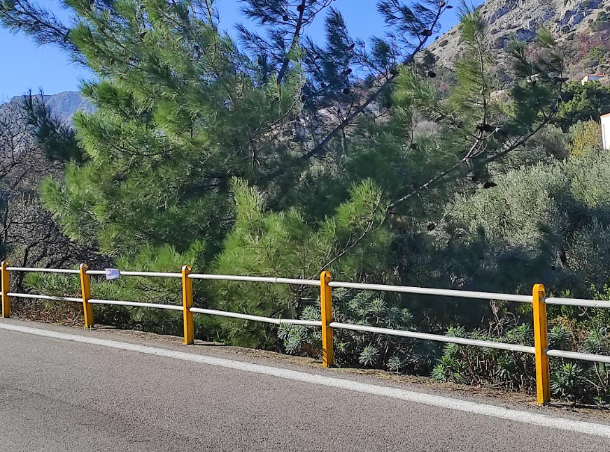 Μ. ΠΡΟΓΟΥΛΗΣ: ΕΘΕΛΟΝΤΙΚΟ ΕΡΓΟ ΚΑΙ ΕΚΤΟΣ ΓΗΠΕΔΟΥ