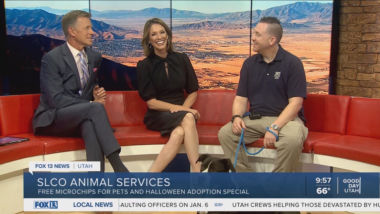 10.04 - 16.00.00 - FOX13 News  Good Day Utah 9AM  ᴺᵉʷ. Utah news, wea....ts_snapshot_00.59.26.101