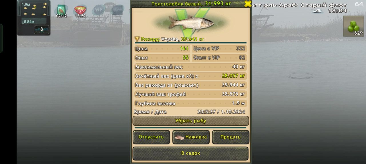 Screenshot-2024-10-01-20-05-42-16-fa28ee