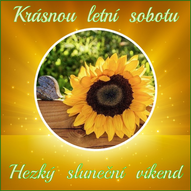 sovi2