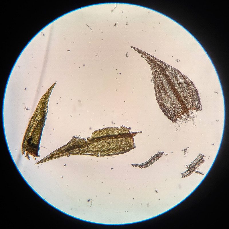 IMG 20250615 220600 HDR