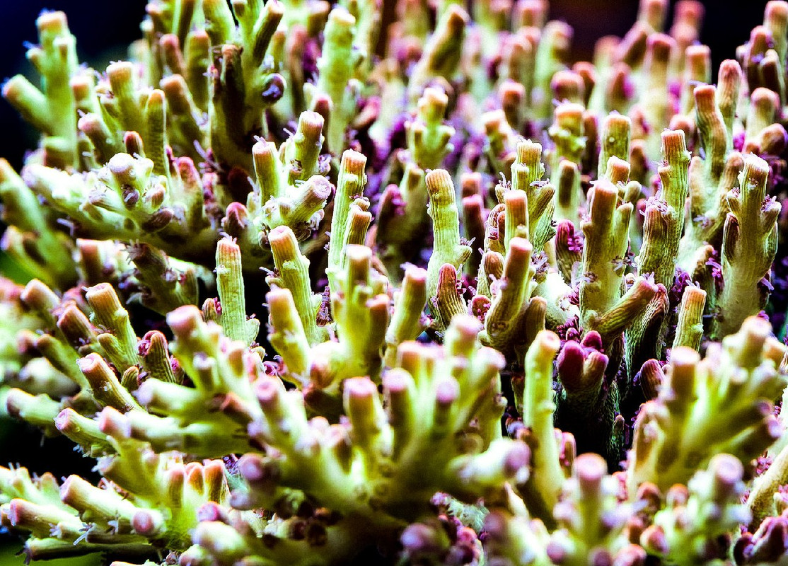 9307475F-C97D-4A58-BB0F-B61C821C7E40