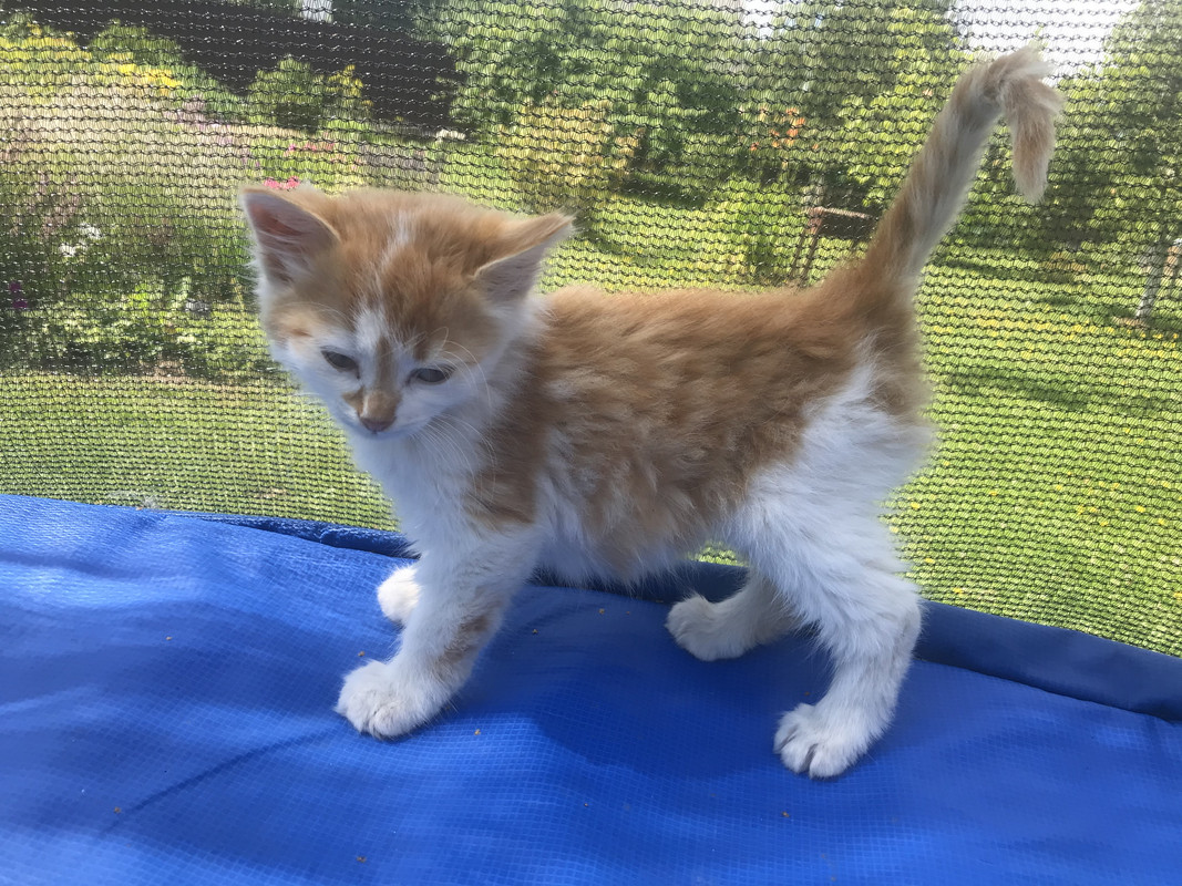 22BA8EEE-DCA1-40D4-9152-6E8482FE6EFB