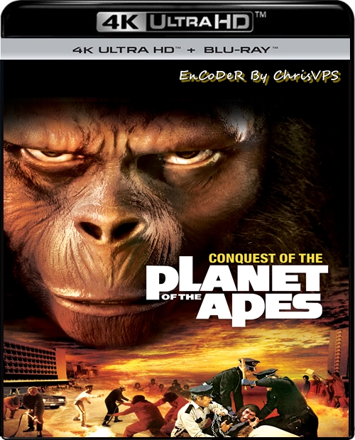 Podbój Planety Małp / Conquest of the Planet of the Apes (1972) MULTI.HDR.2160p.BDRemux.DTS.HD.MA.AC3-ChrisVPS / LEKTOR i NAPISY