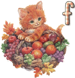 El Gatito y las Frutas  F