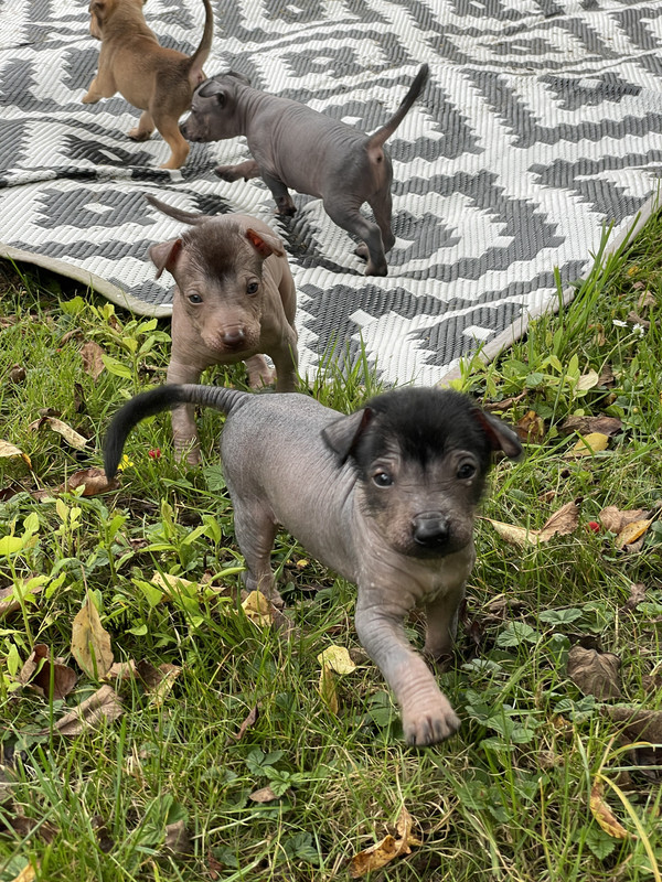 E1D2E22C-40BA-4136-973F-165645CDA4C7