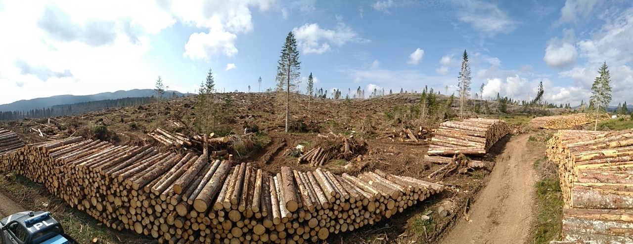 PANO_20190820_101211