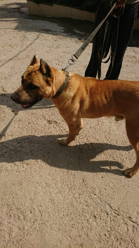 WhatsApp Image 2022-08-27 at 12.29.59 (1)