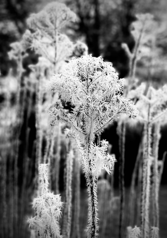 C0461CC7-82EA-45B3-9867-D77DE117E4FB