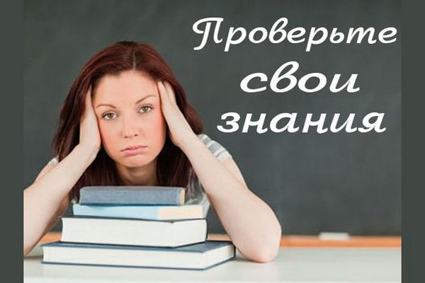 Harley извлекает выгоду из своего легендарного трекового наследия Harley извлекает выгоду из своего легендарного трекового наследия