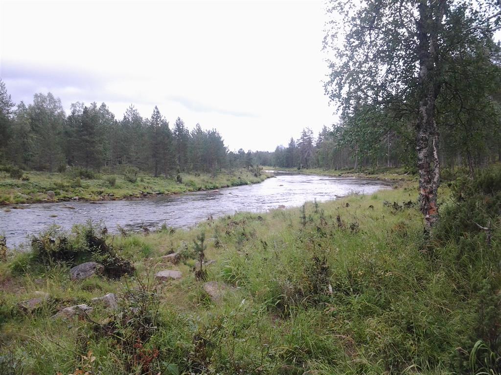 2014-08-11 16.12.04 (Medium)