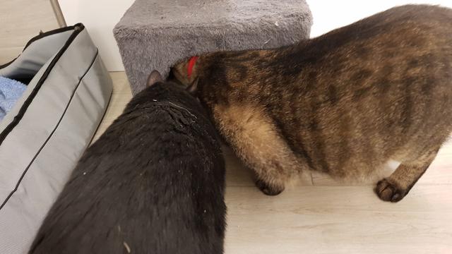 20190408-220146.jpg