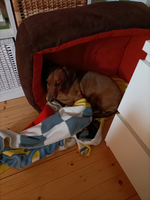 [Image: IMG20211010092032.jpg]