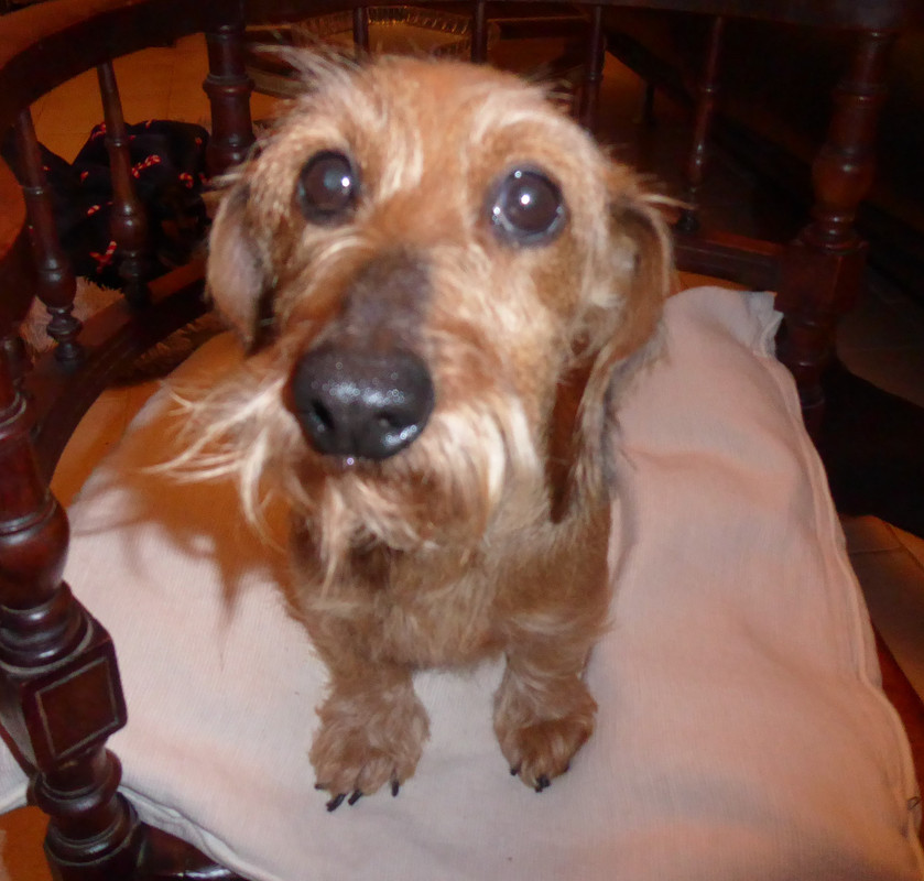 [Image: P1040623.jpg]