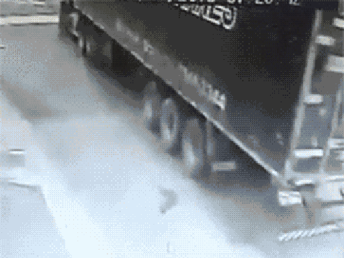 daily-gifdump-3382-06.gif