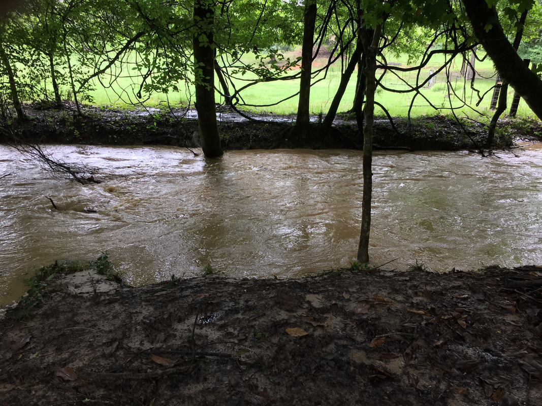 Water Gap Cattle, Cow & Ranching Community