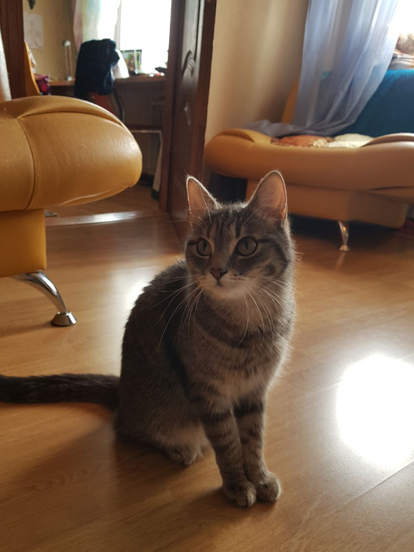 0E3B42B8-51F8-4AB3-B05F-03EA031CB1CC