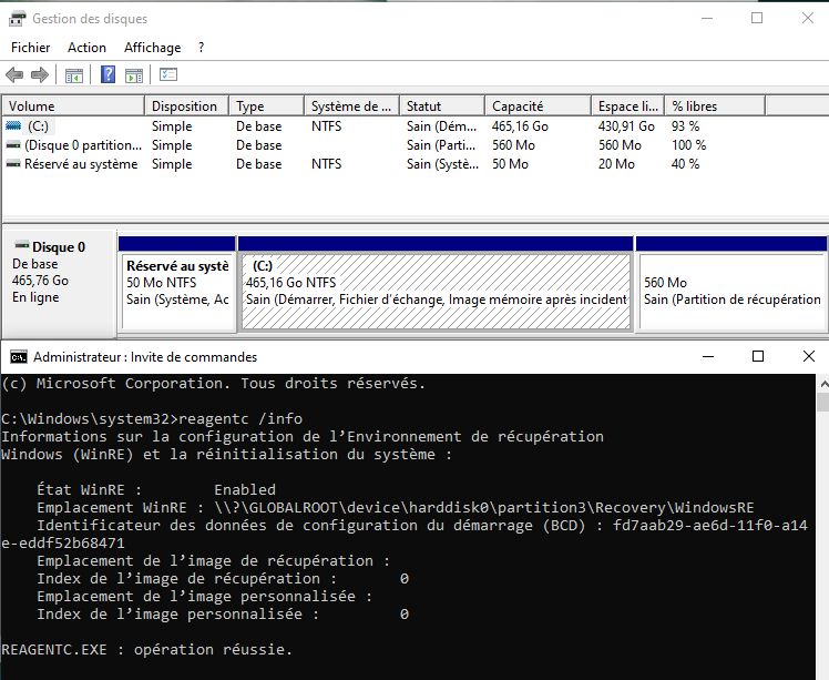 Capture d écran gestion disk et reagentc info 2025 11 10 111930