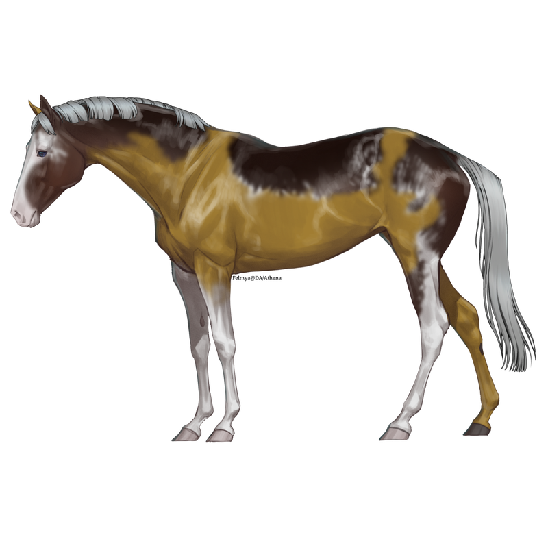 Untitled88-20250601163232.png