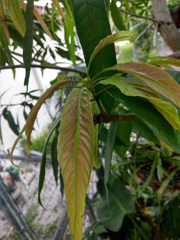 IMG_20200920_100252302_HDR