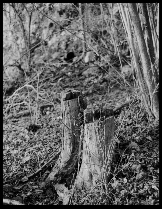 Leicaflex Standard_01gen2022_10 (993x1280)