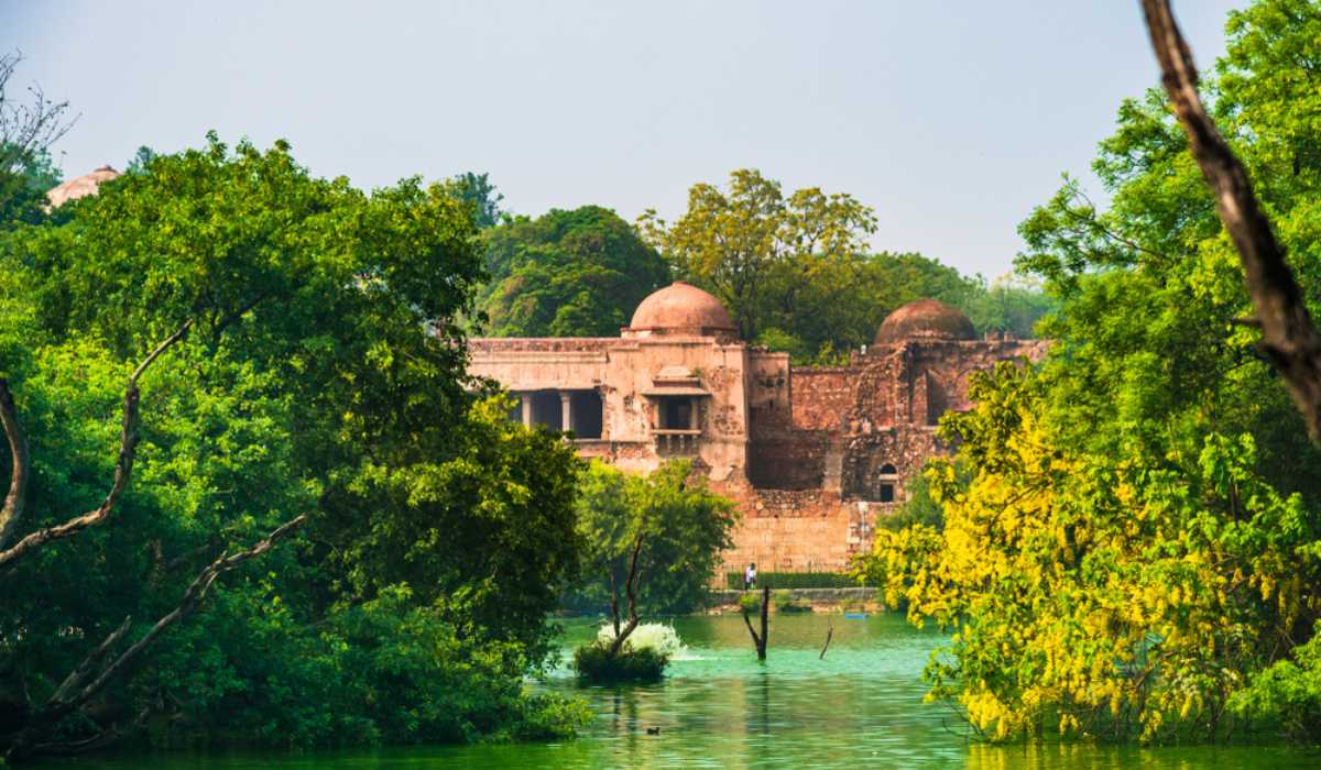 Things toDoIn Hauz Khas Town and Complex