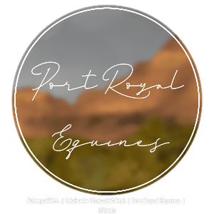 Untitled209_20250323182434_optimized