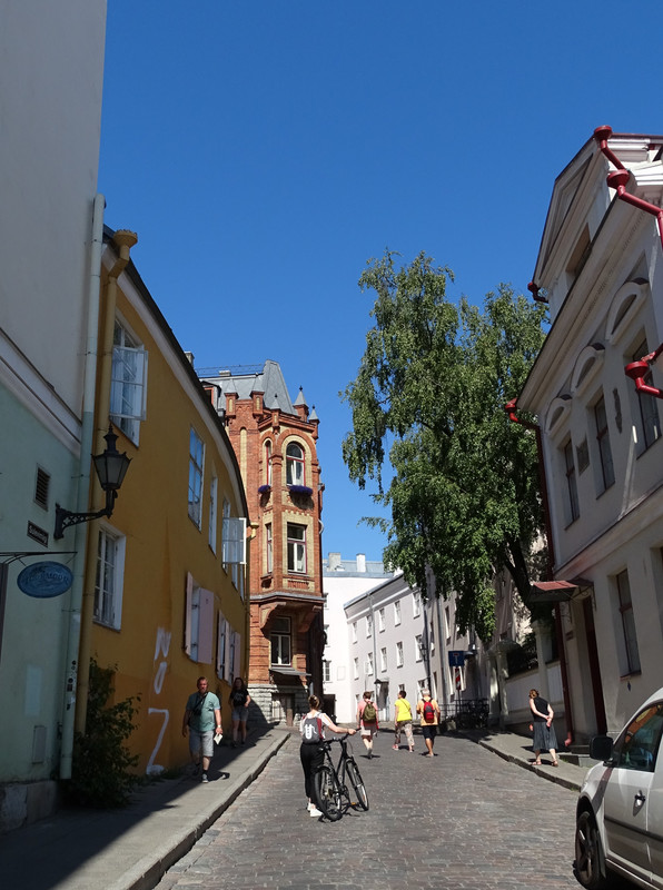 DSC01625-2.jpg