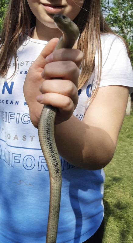 90FF79C7-F472-4013-9483-4F9A85B04BF8