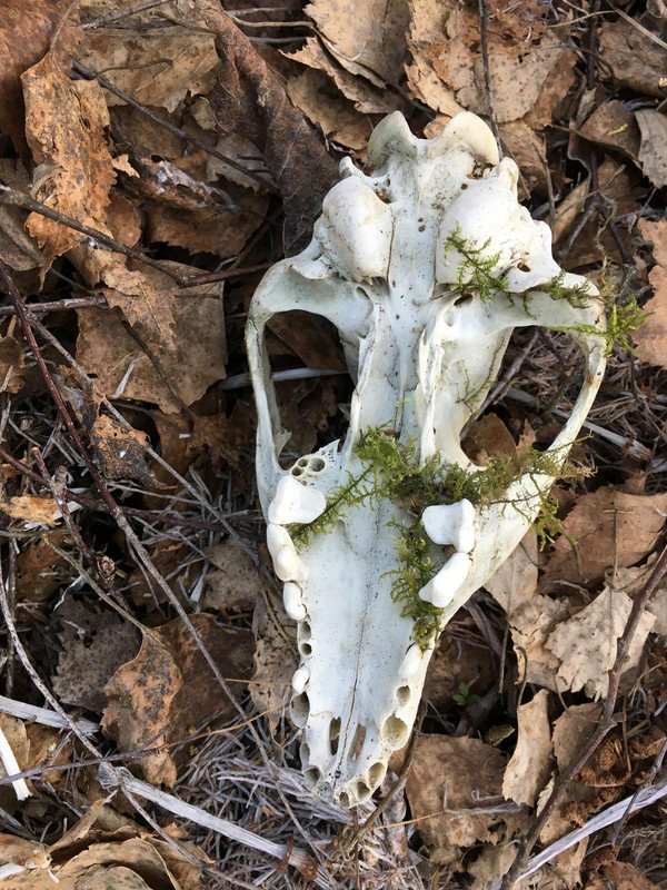 ACA49DD5-F6F4-4A5B-9A11-25A10E261EE5