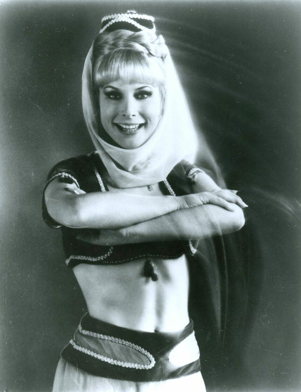Barbara Eden d61