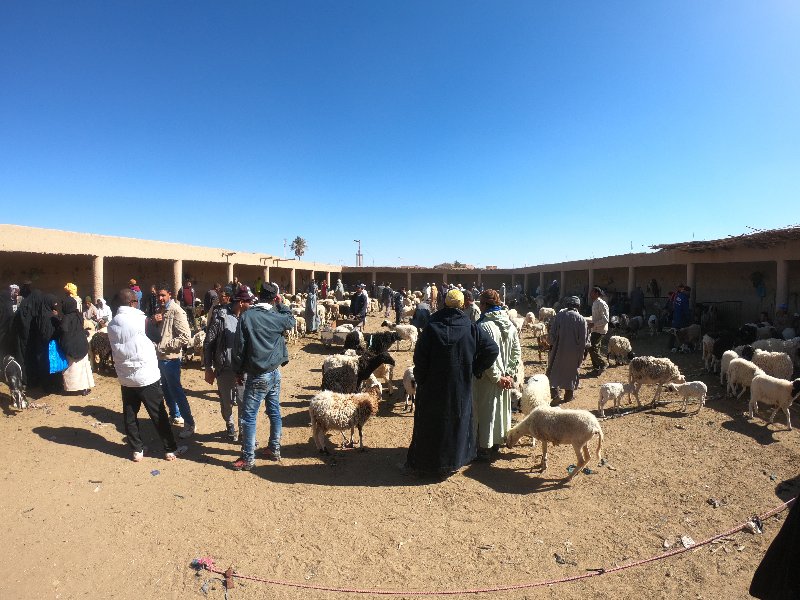 1 semana en Marruecos solo Fez, Chefchaouen y Rabat - Blogs de Marruecos - Amanecer en el desierto, mercado de Rassani y la duna (5)