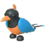 Bird of Paradise