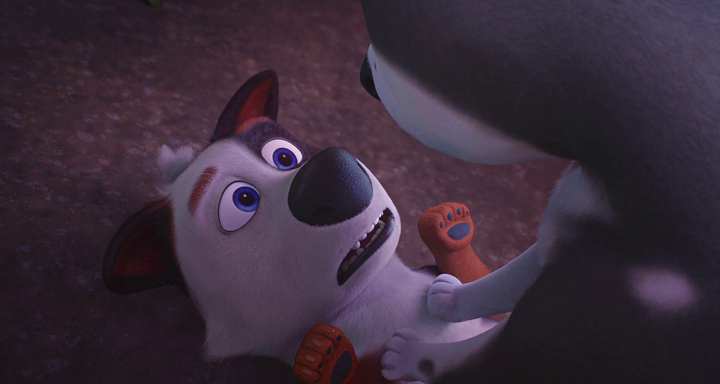 vlcsnap-2020-06-01-11h12m49s579