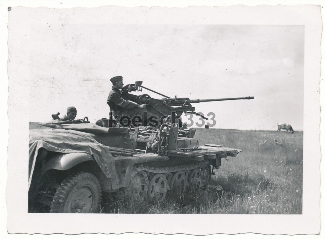 Foto Panzer Halbkette mit 2cm Flak Artillerie Geschütz Selbstfahrlafette France