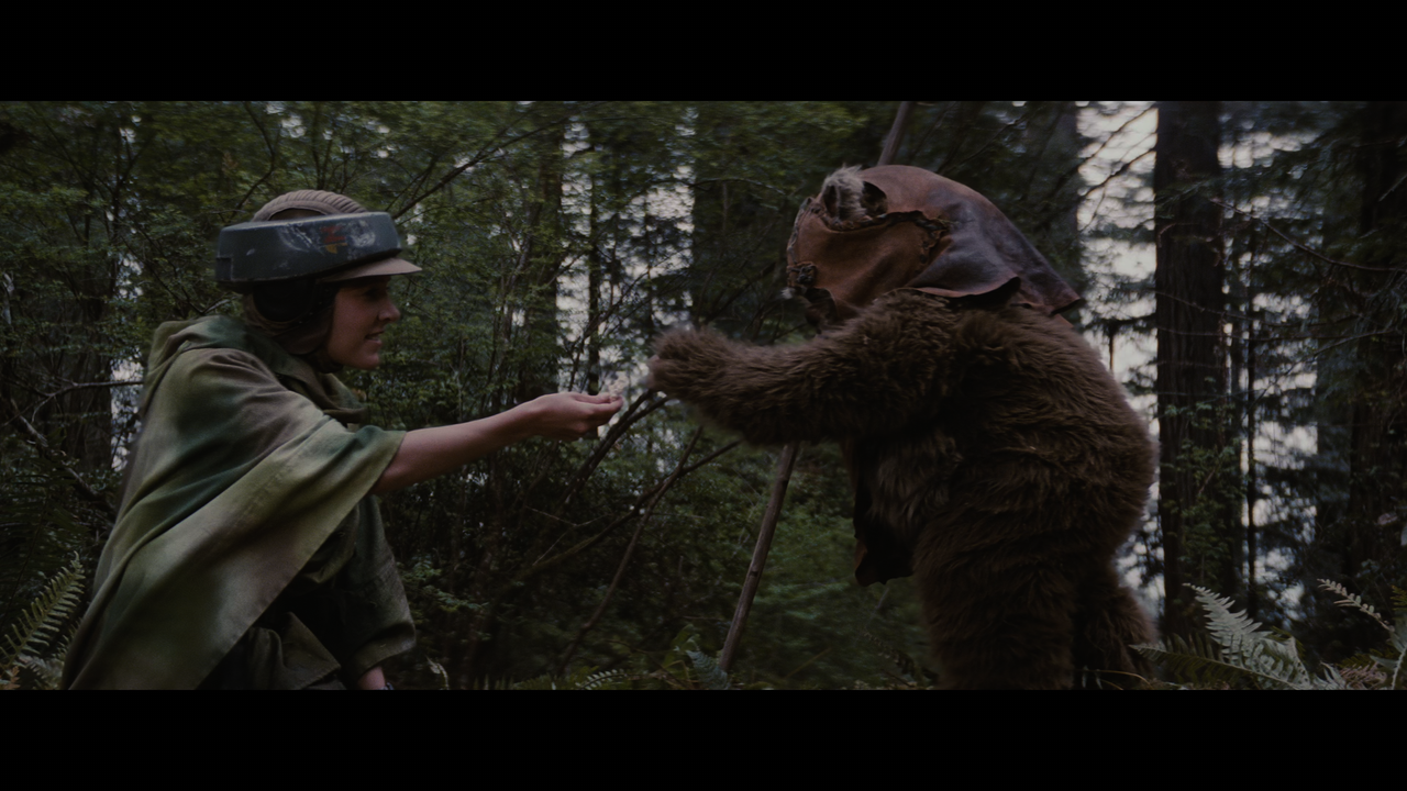 Star Wars - Episode VI - Return of the Jedi.mkv_snapshot_01.04.06_[2022.05.22_20.38.51]