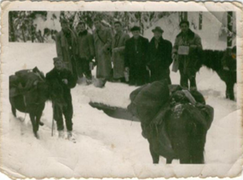 [Слика: image.jpg]