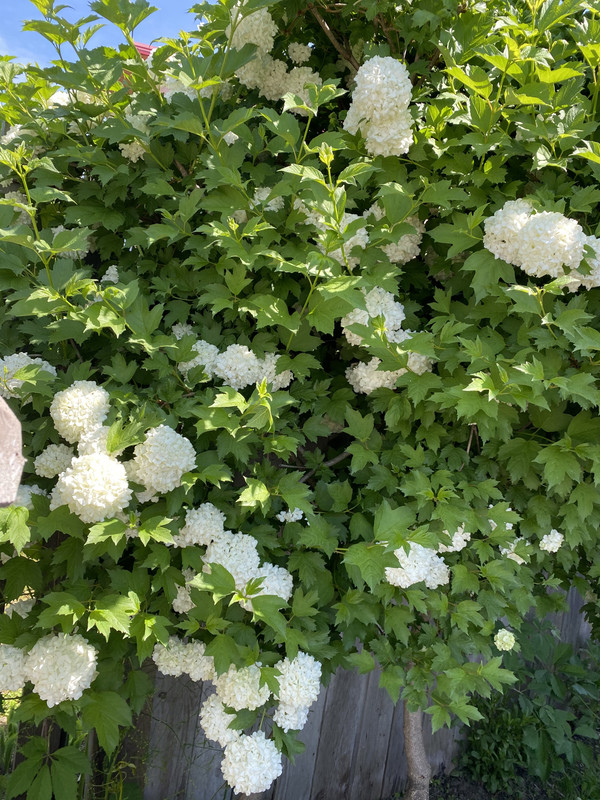 2E2C28F3-EB4F-44A5-9917-A4905B5C95C1