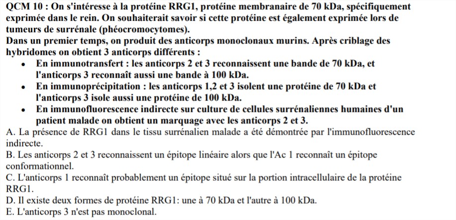 S2 - UE 8 - Recherche Purpan 2019-2020.pdf - Google Chrome_3