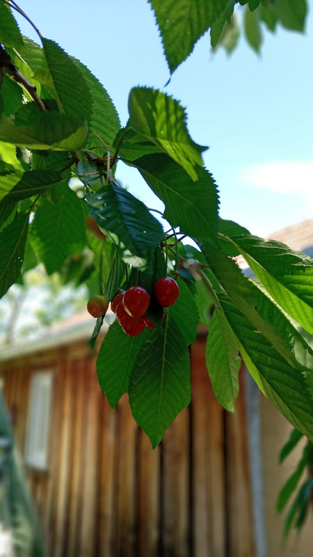 440931730_10228518490484667_5333468166403657862_n